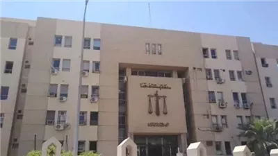 السجن المؤبد لشقيقين فى قضية مقتل ربة منزل بقنا 