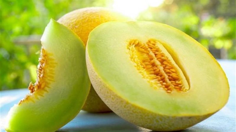 فوائد الكانتالوب