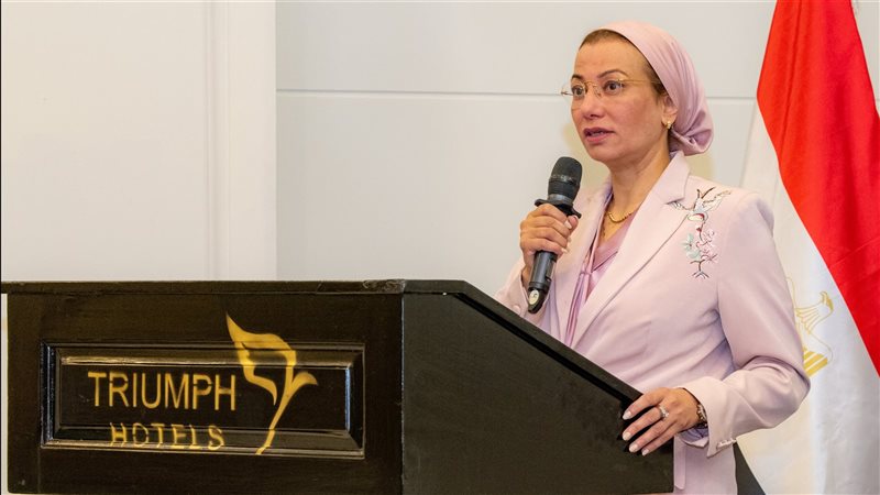 الدكتورة ياسمين فؤاد