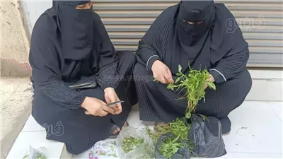 بتقطيف الملوخية وتقميع البامية، أولياء الأمور ينتظرون أبناءهم أمام لجان الثانوية بالمنوفية (صور)