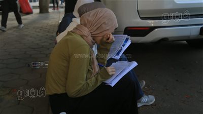 مراجعة اللحظات الأخيرة قبل امتحان اللغة الأجنبية الثانية للثانوية العامة بالقاهرة والجيزة (صور)