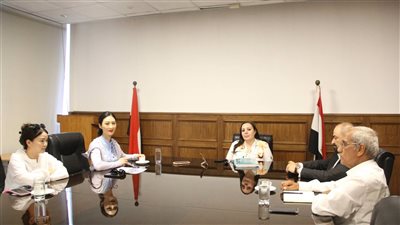  اجتماع مشترك بين تحديث الصناعة ودوفو الصينية لإنتاج الخلايا الشمسية 