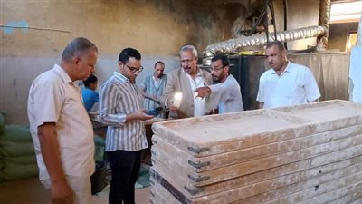 تحرير 101 مخالفة تموينية خلال حملة على المخابز بـ3 مراكز في أسيوط