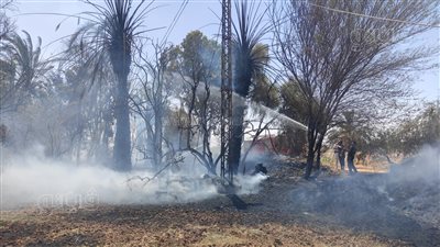 إخماد حريق هائل في مزرعة نخيل وحظيرة بالوادي الجديد 