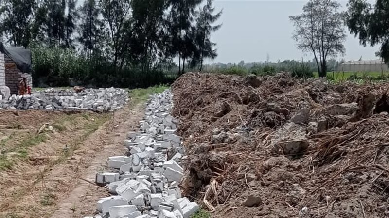 إزالة التعديات بالبحيرة