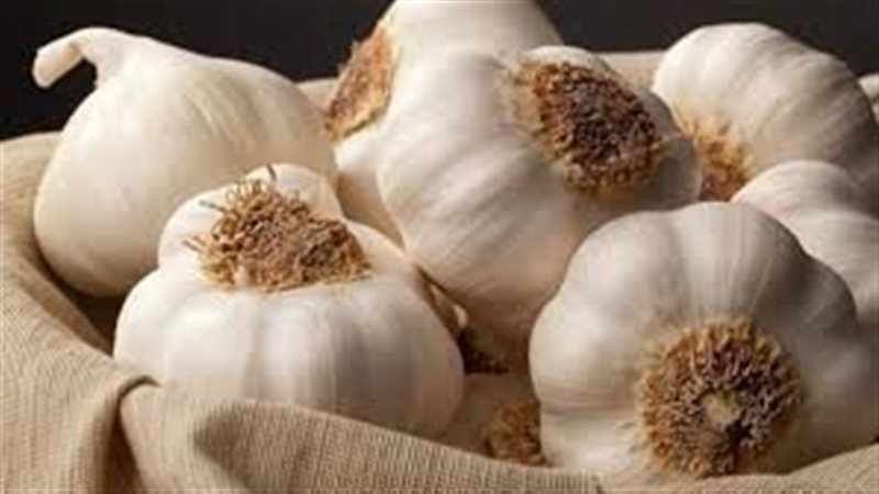 تفسير حلم جمع الثوم