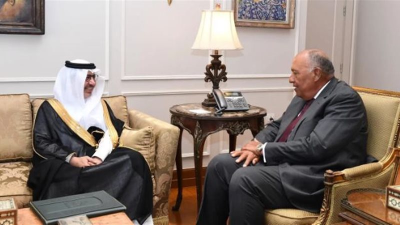 شكري وسفير السعودية،
