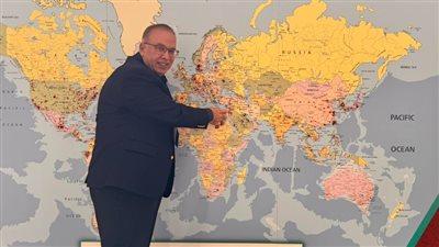 علاج نهائي لمرض السكر قريبًا، أستاذ في هارفارد يزف بشرى للمرضى 