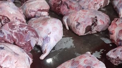 ضبط 12.5 ألف كيلو لحوم فاسدة في القاهرة