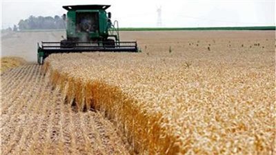 وزير التموين يكشف حجم الاحتياطي الاستراتيجي من القمح 