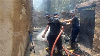 السيطرة على حريق شب في مزرعة نخيل بواحة الخارجة