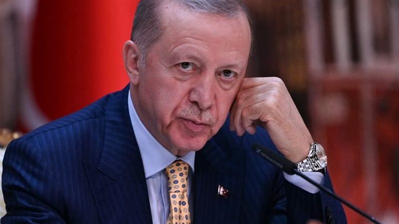 اردوغان، فيتو 