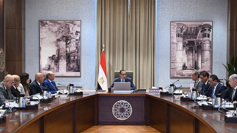 مجلس الوزراء، فيتو