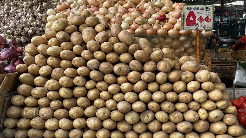 أسعار الخضراوات في