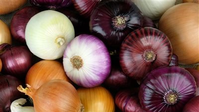 الطبيب الصامت، فوائد البصل لصحة القلب وجمال البشرة والشعر