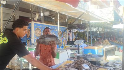 أسعار البلطي والبوري والجمبري، هتصيف وتاكل أحلى سمك في جمصة (فيديو وصور)