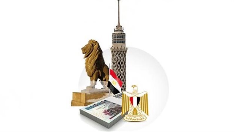 الاقتصاد المصري،فيتو