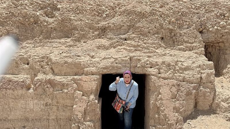مغامرة فيتو لكشف