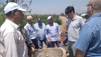 زراعة بني سويف تستقبل خبيرا يابانيا لبحث دعم مشروع تطوير الري الحقلي