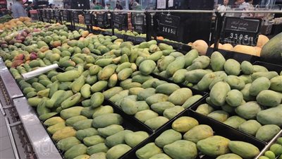 بتراجع 10 جنيهات، تعرف على أسعار 15 نوعًا من المانجو في الأسواق