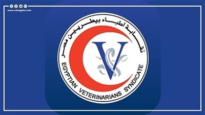 نقابة البيطريين: 2 مليون و208 آلاف جنيه منح علاجية لـ1144 عضوا خلال 2023- 2024