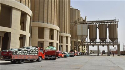 ارتفاع معدلات توريد القمح لـ 191697 طنا بأسيوط