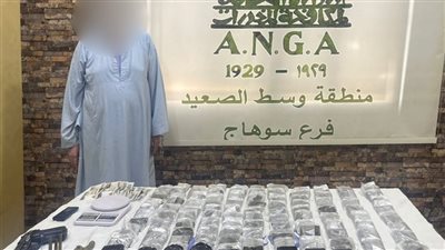  مضبوطات بمليون جنيه، سقوط عاطل يدير بؤرة إجرامية لتجارة الحشيش بسوهاج 