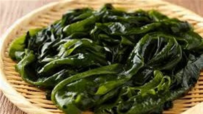 الأعشاب البحرية،