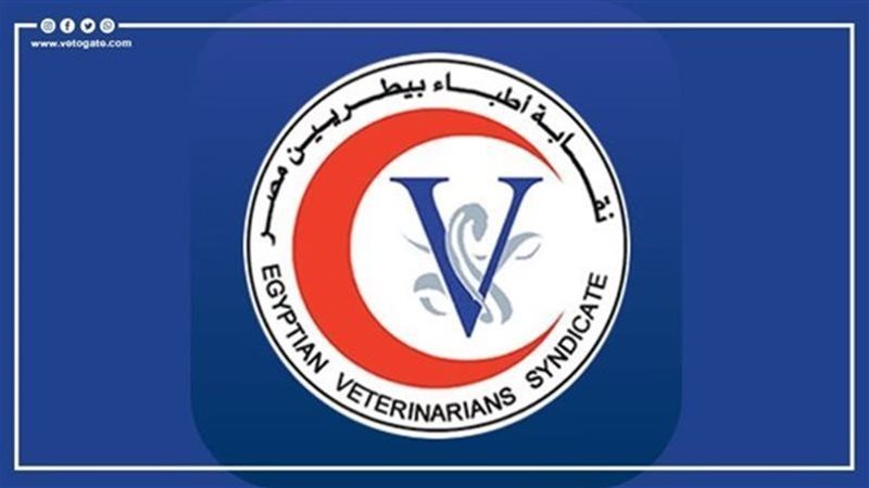 نقابة بيطريين مصر،