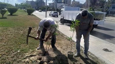  البيئة في أسبوع، حوار وطني حول تنفيذ مبادرة 100 مليون شجرة واستكمال مسابقة فصل المخلفات