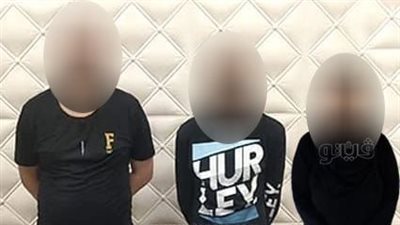 حبس 10 لصوص لارتكاب جرائم سرقات متنوعة بالقاهرة 