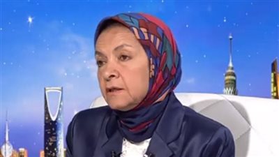 يمن الحماقي: القطاع الخاص يحتاج إلى تدخل عاجل لحل المشكلات التي يعاني منها