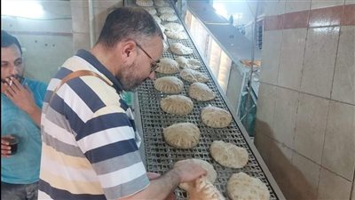 ضبط 77 مخالفة خلال حملات على المخابز والأسواق بالدقهلية