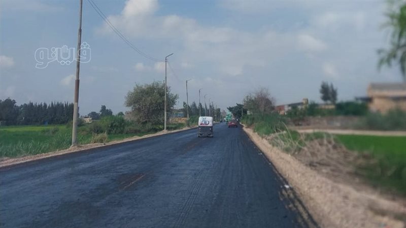  رصف طريق،فيتو 