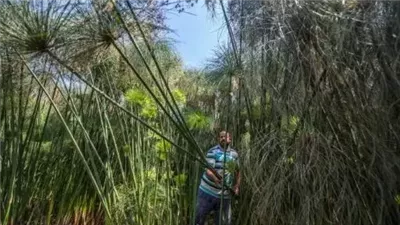 قصة نجاح قرية القراموص في الحفاظ على التراث الفرعوني بالشرقية (فيديو)