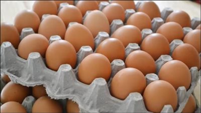 شعبة المواد الغذائية: أسعار البيض تسجل انخفاضًا جديدًا في الأسواق