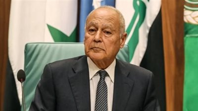 أبو الغيط في طوكيو: أدعو اليابان للاعتراف بالدولة الفلسطينية لأن ذلك يمنح الملايين الأمل 