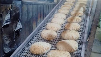 المرور على 450 مخبزا وتحرير 103 مخالفات في حملات تموينية بالدقهلية 