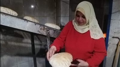 تموين الدقهلية يحرر 419 محضر مخالفات خلال حملات على المخابز 