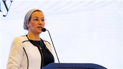 مصر تُطلق فعاليات عرض مخرجات تقرير تقييم ومراجعة سياسات النمو الأخضر (فيديو)