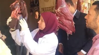 ضبط 5 أطنان لحوم مذبوحة خارج المجازر الحكومية بميت عقبة والوحدة