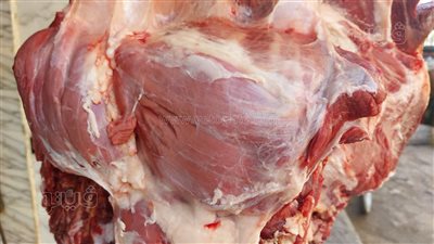 محافظ قنا يشهد استلام لحوم صكوك الأضاحي تمهيدا لتوزيعها على المستحقين