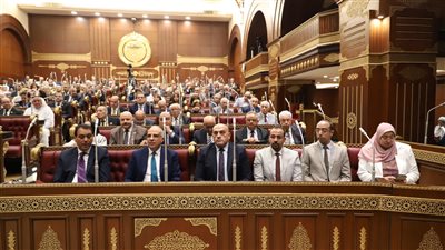 زراعة الشيوخ تطالب الحكومة ببرنامج زمني لتحويل 3.5 مليون فدان لنظام الري الحديث