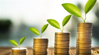 ضوابط تخصيص العقارات اللازمة لإقامة المشروعات الاستثمارية 