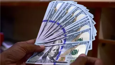 رغم الحروب، انتعاشة غير مسبوقة لتحويلات المغتربين بدول أوروبا والشرق الأوسط لعام 2024