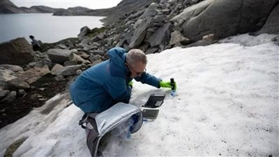 تقلل ذوبان الجليد، العثور على فيروسات عملاقة غامضة 