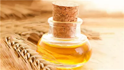 زيت جنين القمح، يحمي قلبك ويقوي عظامك وشعرك