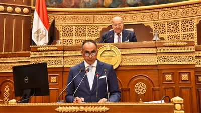 رئيس الشيوخ: أي قوانين لا تواكب مستجدات العصر سقطة تشريعية 