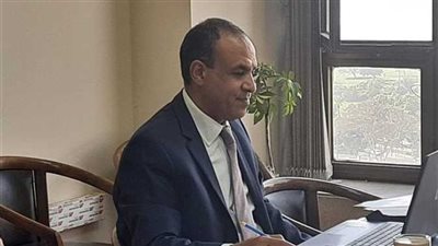 وزير الخارجية الجديد: الدولة المصرية راسخة وقوية