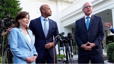 قضي الأمر، موقف الحكام الديمقراطيين من دعم بايدن في الانتخابات الرئاسية